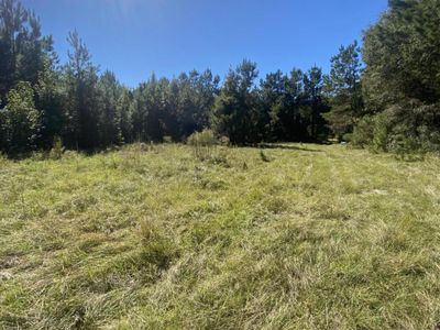 259 Interstate View Drive, Ridgeville, SC 29472