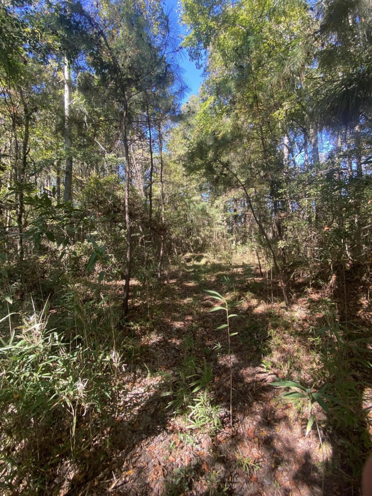 259 Interstate View Drive Photo 2