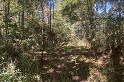 259 Interstate View Drive photo 4