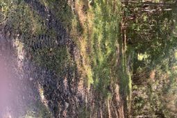 259 Interstate View Drive photo 4