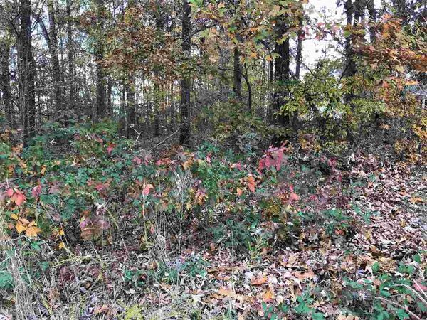 1 COUNTRYWOODS DR, Selmer, TN 38375