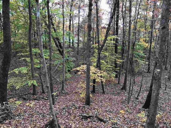 20 COUNTRY WOODS DR, Selmer, TN 38375