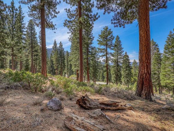 2790 Cross Cut Court, Truckee, CA 96161