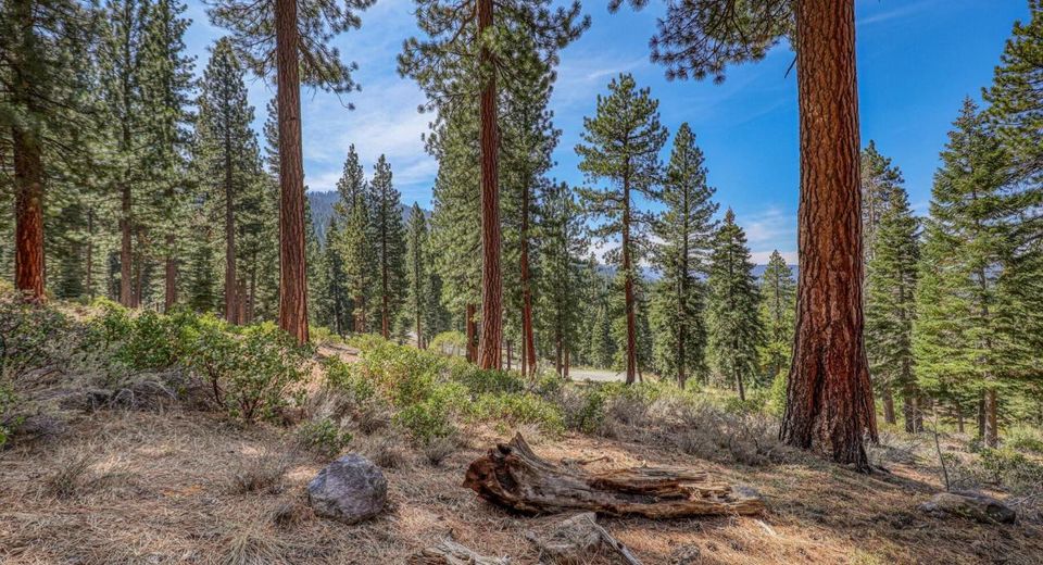 2790 Cross Cut Court, Truckee, CA 96161 Photo