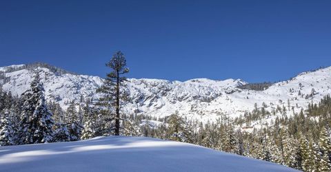 Xxxxx Alpine Meadows Road, Alpine Meadows, CA 96146 Photo