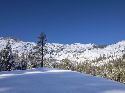 Xxxxx Alpine Meadows Road, Alpine Meadows, CA 96146 Photo