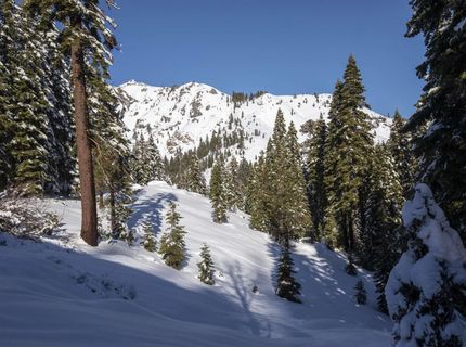 Xxxxx Alpine Meadows Road, Alpine Meadows, CA 96146 Photo