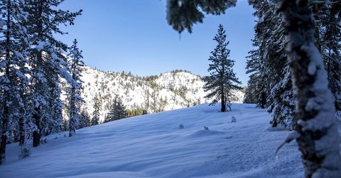 Xxxxx Alpine Meadows Road, Alpine Meadows, CA 96146 Photo