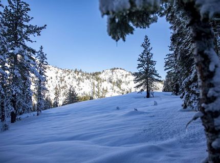 Xxxxx Alpine Meadows Road, Alpine Meadows, CA 96146 Photo