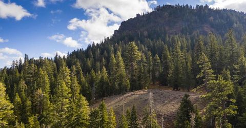 Xxxxx Alpine Meadows Road, Alpine Meadows, CA 96146 Photo