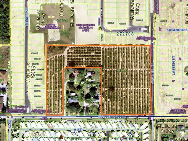 390 PATTERSON ROAD, HAINES CITY, FL 33844