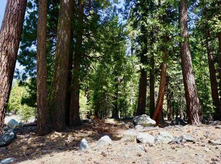 59 Yonkalla Trail, Graeagle, CA 96103 Photo