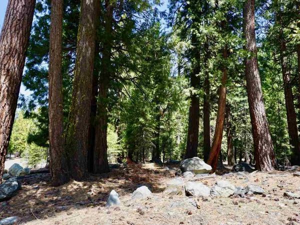 59 Yonkalla Trail, Graeagle, CA 96103