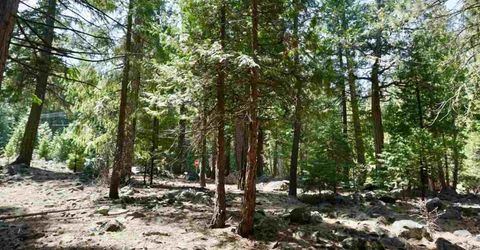 59 Yonkalla Trail, Graeagle, CA 96103 Photo