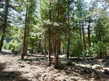 59 Yonkalla Trail, Graeagle, CA 96103 Photo