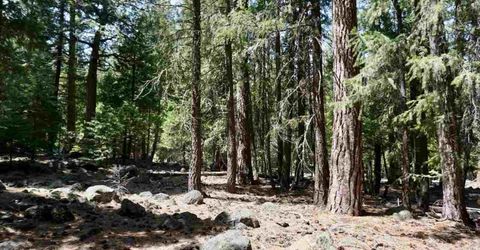 59 Yonkalla Trail, Graeagle, CA 96103 Photo