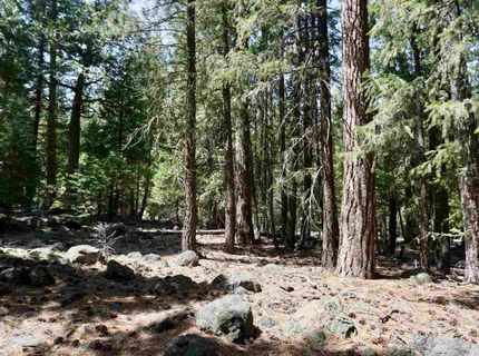 59 Yonkalla Trail, Graeagle, CA 96103 Photo