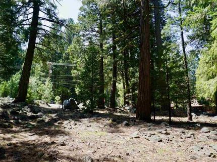 59 Yonkalla Trail, Graeagle, CA 96103 Photo