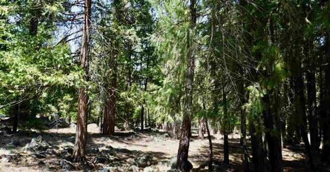 59 Yonkalla Trail, Graeagle, CA 96103 Photo