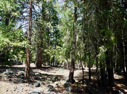 59 Yonkalla Trail, Graeagle, CA 96103 Photo