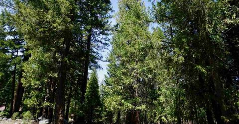 59 Yonkalla Trail, Graeagle, CA 96103 Photo