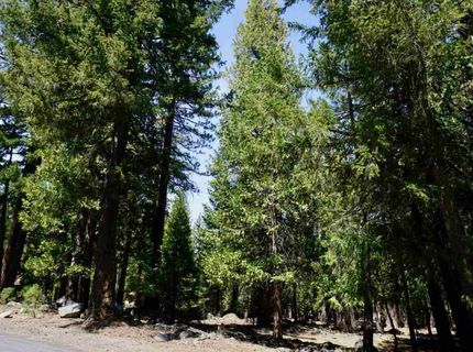 59 Yonkalla Trail, Graeagle, CA 96103 Photo