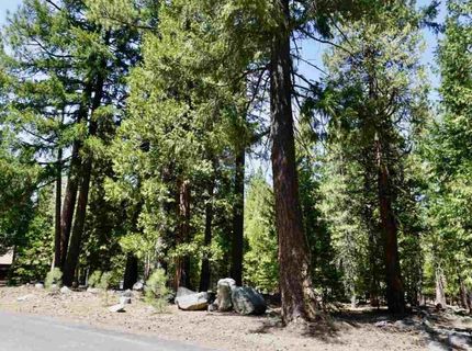 59 Yonkalla Trail, Graeagle, CA 96103 Photo