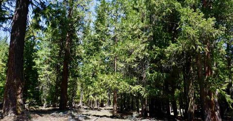 59 Yonkalla Trail, Graeagle, CA 96103 Photo