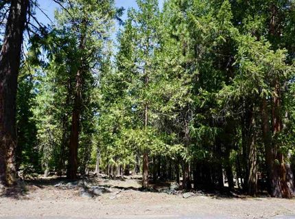 59 Yonkalla Trail, Graeagle, CA 96103 Photo