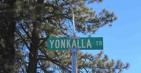 59 Yonkalla Trail, Graeagle, CA 96103 Photo