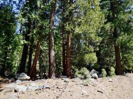 59 Yonkalla Trail, Graeagle, CA 96103 Photo