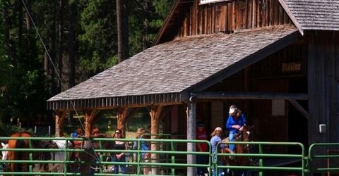 59 Yonkalla Trail, Graeagle, CA 96103 Photo