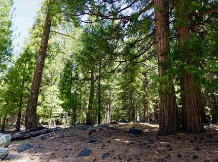 59 Yonkalla Trail, Graeagle, CA 96103 Photo