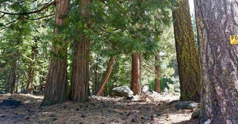 59 Yonkalla Trail, Graeagle, CA 96103 Photo