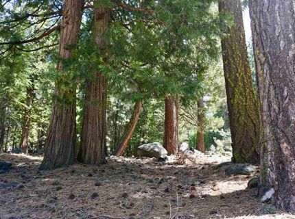 59 Yonkalla Trail, Graeagle, CA 96103 Photo