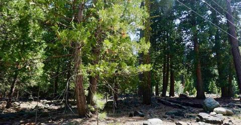 59 Yonkalla Trail, Graeagle, CA 96103 Photo