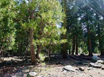 59 Yonkalla Trail, Graeagle, CA 96103 Photo