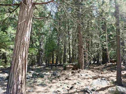 59 Yonkalla Trail, Graeagle, CA 96103 Photo