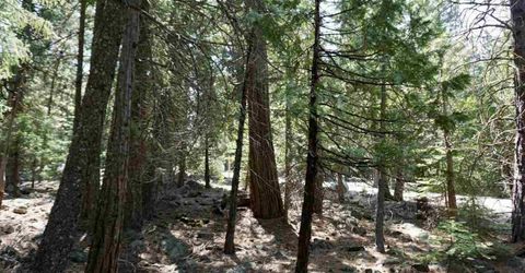 59 Yonkalla Trail, Graeagle, CA 96103 Photo