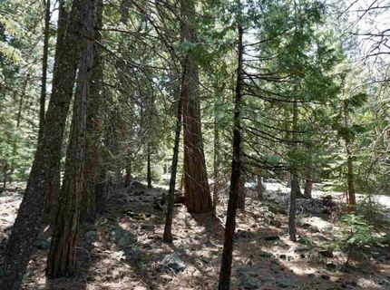 59 Yonkalla Trail, Graeagle, CA 96103 Photo