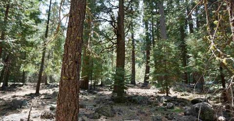 59 Yonkalla Trail, Graeagle, CA 96103 Photo