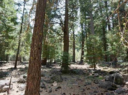 59 Yonkalla Trail, Graeagle, CA 96103 Photo