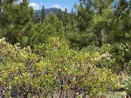 309 Walsh Court, Lake Almanor, CA 00000 Photo