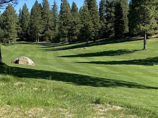 80 Terranova Drive, Lake Almanor, CA 96137