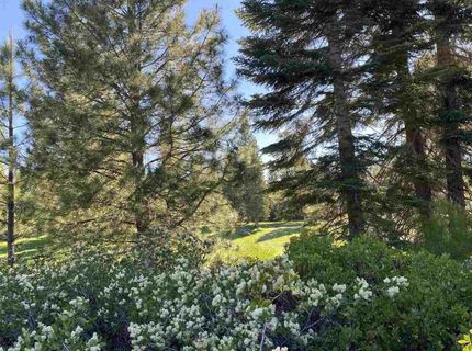 80 Terranova Drive, Lake Almanor, CA 96137 Photo