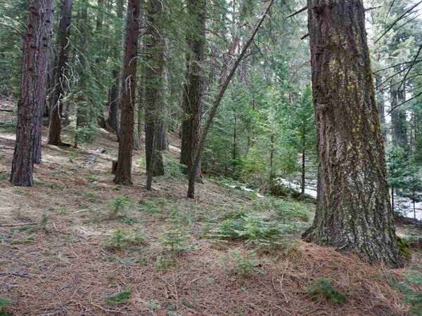 6 Pine Tree Court, Unit 2, Blairsden, CA 96103