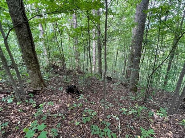 LOT 19 Bear Trail, Hiawassee, GA 30546