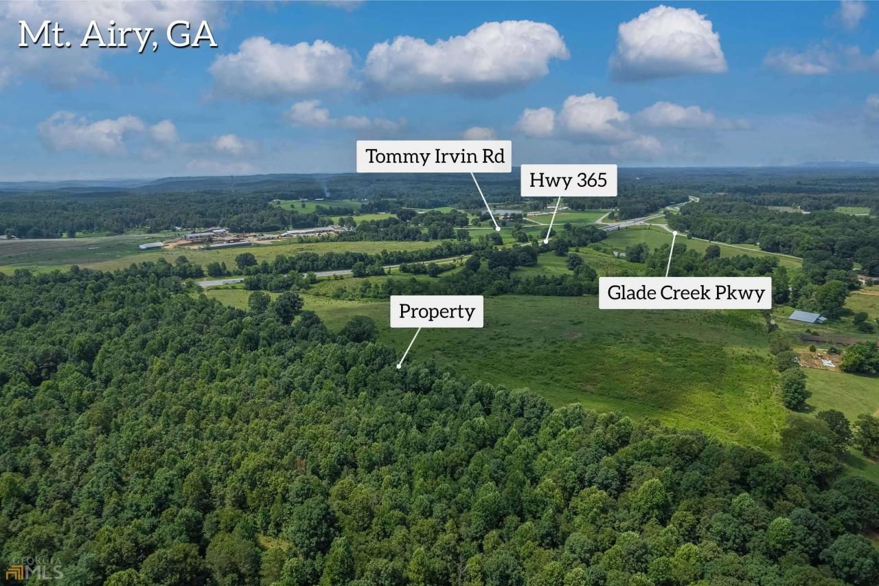 0 S Highway 365, Mount Airy, GA 30563 Main Photo
