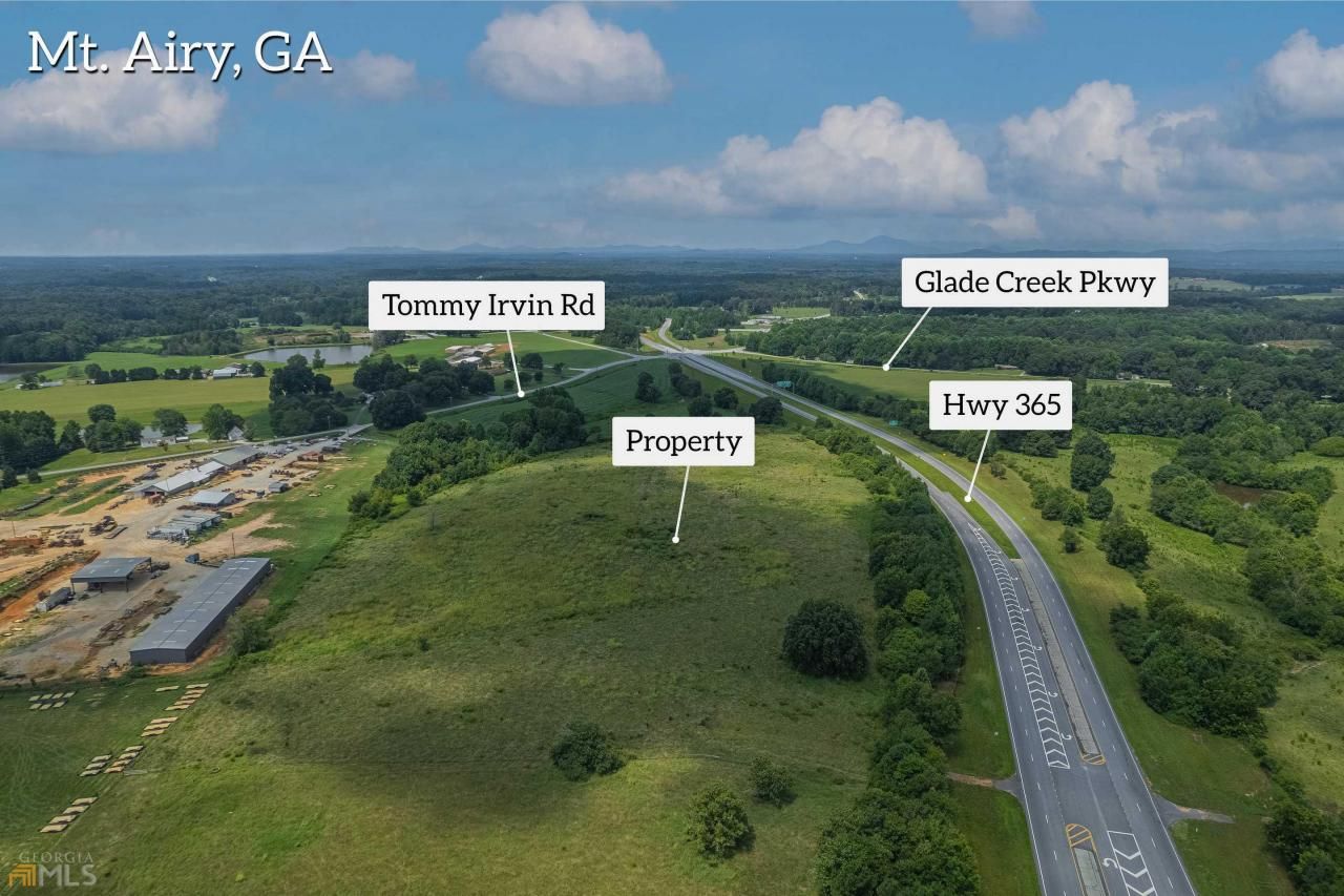 0 N Highway 365, Mount Airy, GA 30563 Main Photo