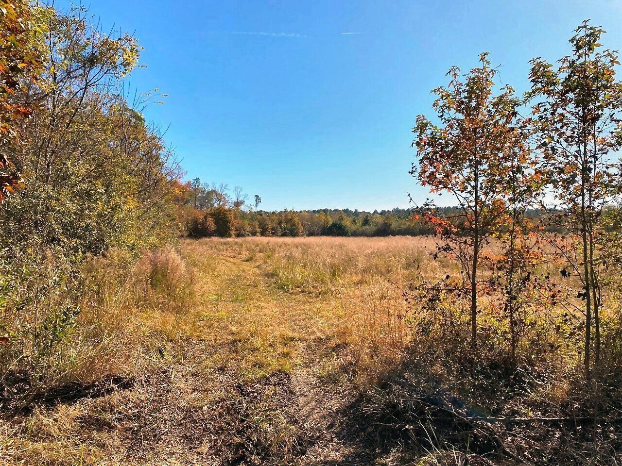 5306 State Road Photo 10